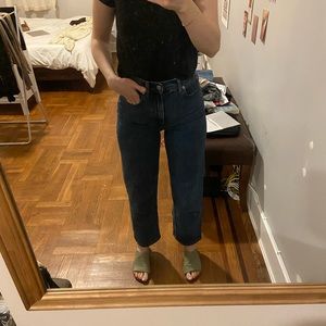 Everlane The Way High jeans 24
